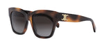 Celine CL 40253 I 53K Square Sunglasses