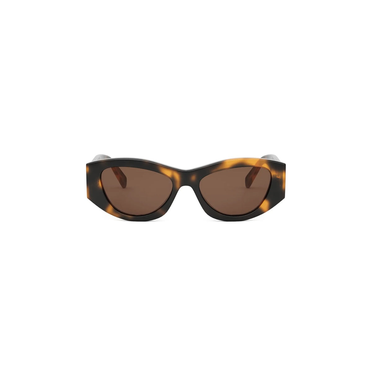 53E - Acetate Shiny Havana with Brown Gradient lenses