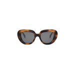 53A - Acetate Shiny Havana with Grey Normal lenses