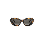 52F - Acetate Shiny Havana with Brown Gradient lenses