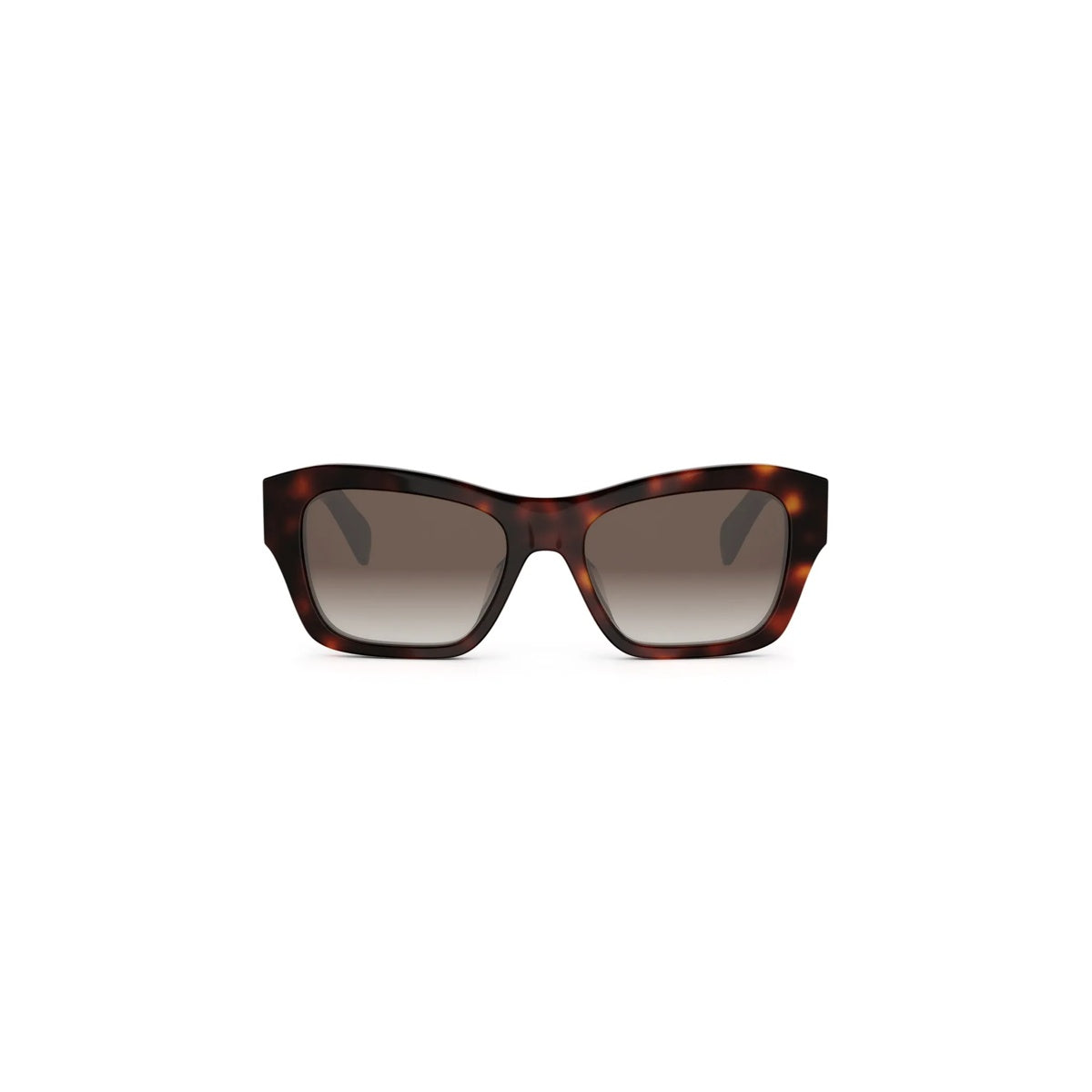 52F - Acetate Shiny Havana with Brown Gradient lenses