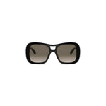01F - Acetate Shiny Black with Grey Normal lenses