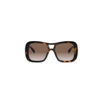 53F - Acetate Shiny Havana with Brown Gradient lenses