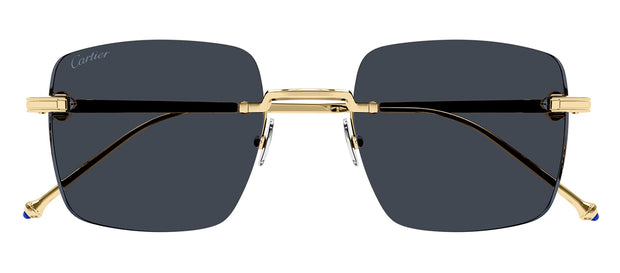 Cartier CT0403S 002 Square Sunglasses