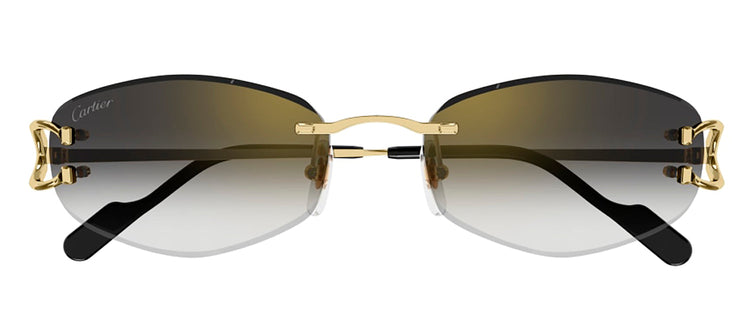 Cartier CT0467S 001 Geometric Sunglasses