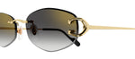 Cartier CT0467S 001 Geometric Sunglasses