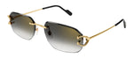 Cartier CT0468S 001 Geometric Sunglasses