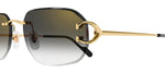Cartier CT0468S 001 Geometric Sunglasses