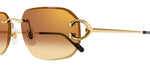Cartier CT0468S 004 Geometric Sunglasses