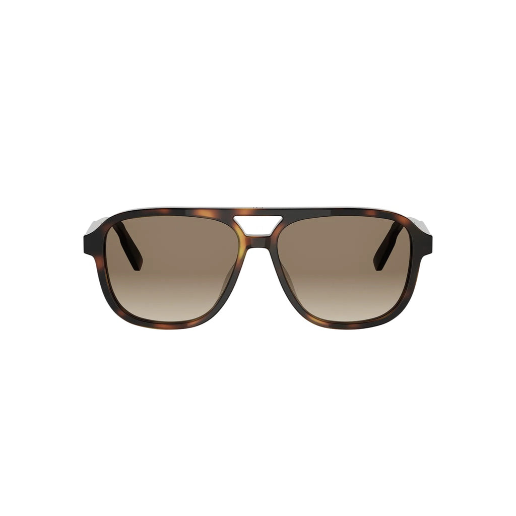 24F1 - Acetate Shiny Havana with Grey Gradient lenses