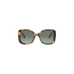 53P - Acetate Shiny Havana with Green Gradient lenses