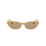 45E - Acetate Shiny Brown with Brown Normal lenses