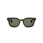 55N - Acetate Shiny Havana with Green Normal lenses