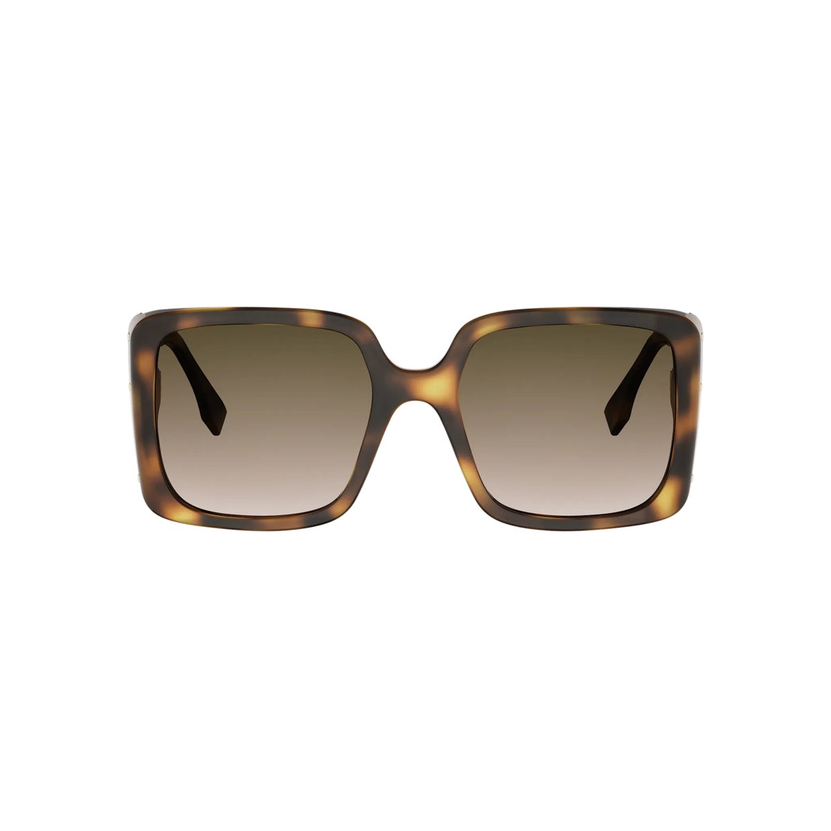53F - Acetate Shiny Havana with Brown Gradient lenses