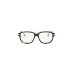 052 - Acetate Shiny Havana