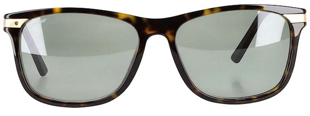 Cartier CT0104SA 002 Wayfarer Sunglasses