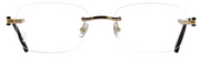 Cartier CT0290O 003 Rectangle Eyeglasses