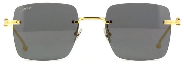 Cartier CT0403S 002 Square Sunglasses