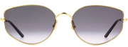 Cartier CT0300S 001 Cat Eye Sunglasses