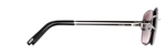Cartier CT0010RS 001 Rectangle Sunglasses