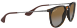 Ray-Ban RB4171 Polarized Round Sunglasses