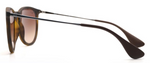 Ray-Ban RB4171 865/13 Round Sunglasses