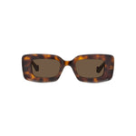 52E - Acetate Shiny Dark Havana / Brown