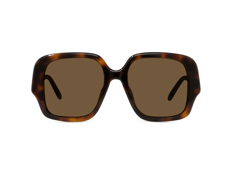 LOEWE LW 40134 U 52E Square Sunglasses