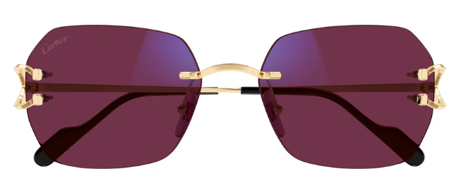 Cartier CT0416S 001 Geometric Transitional Sunglasses