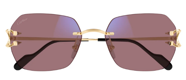 Cartier CT0416S 001 Geometric Transitional Sunglasses