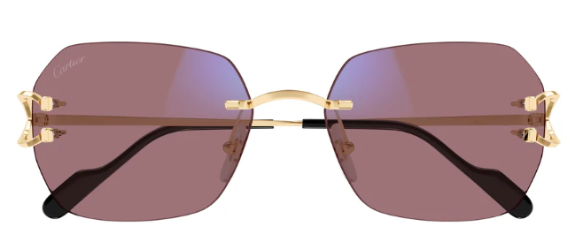 Cartier CT0416S 001 Geometric Transitional Sunglasses