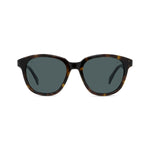 52D - Injected Shiny Havana with Grey polar lenses