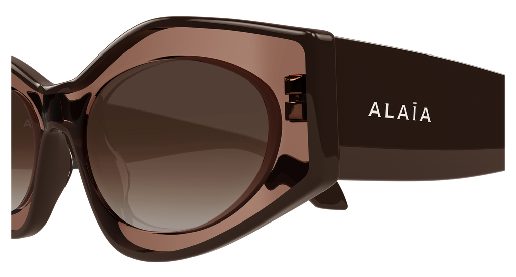BROWN / BROWN