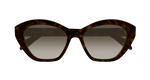 HAVANA / BROWN