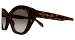 HAVANA / BROWN
