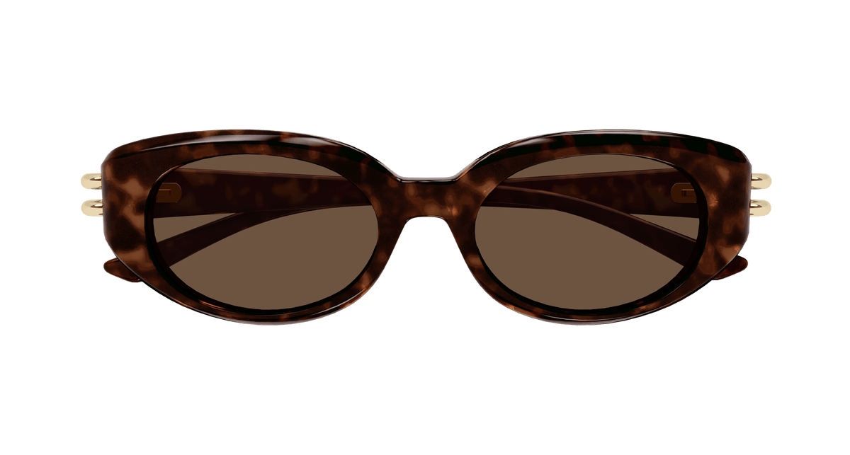 HAVANA / BROWN