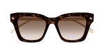 HAVANA / GOLD / BROWN