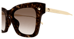 HAVANA / GOLD / BROWN