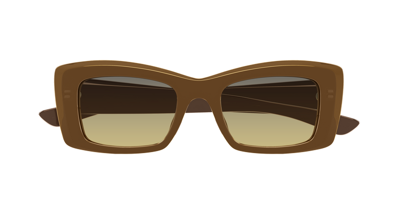 BROWN / BROWN