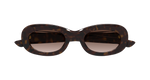 HAVANA / BROWN