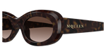 HAVANA / BROWN
