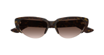 HAVANA / BROWN