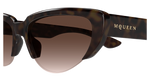 HAVANA / BROWN