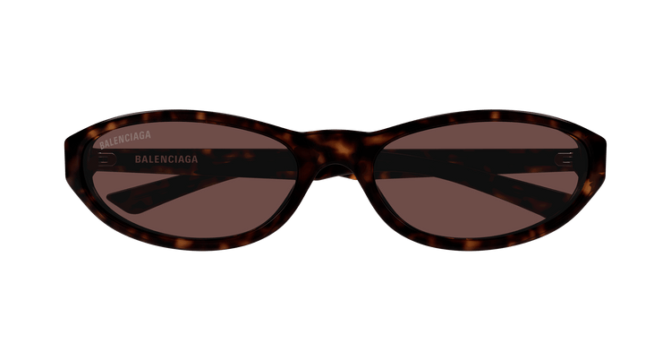 HAVANA / BROWN