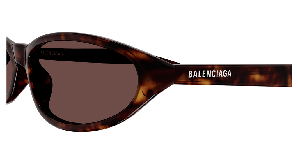 HAVANA / BROWN