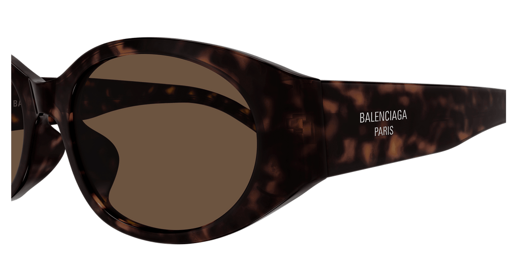 HAVANA / BROWN