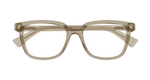 BROWN / TRANSPARENT