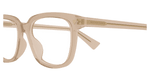 BROWN / TRANSPARENT