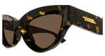 HAVANA / BROWN