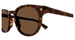 HAVANA / BROWN